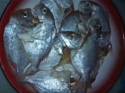 Make Red-kid fish step 1