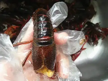 Make Shrimp step 3