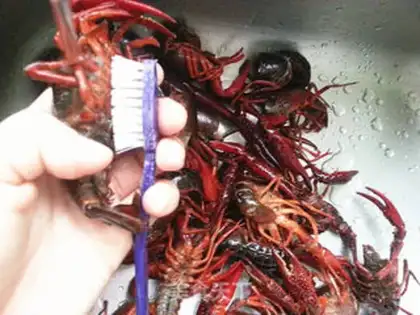 Make Shrimp step 5