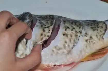 Make Jealousy fish step 1