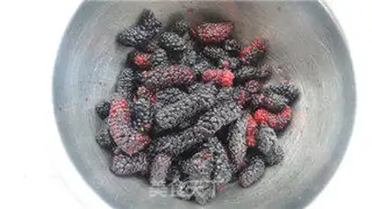Make Sancho jam step 0