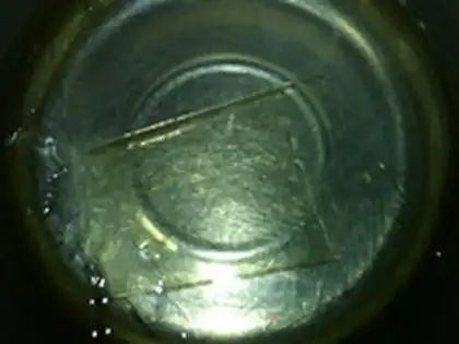 Make Taffy Mochamus step 11
