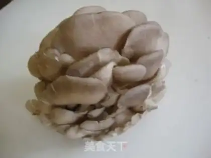Make Blow up fresh mushrooms step 0
