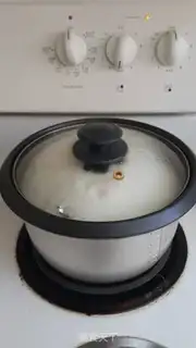 Make The salt chicken step 15