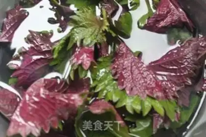Make The purple succulent step 1