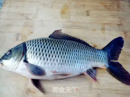 Make Garuda carp step 0