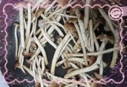 Make Tea mushrooms, black wood, chicken step 4