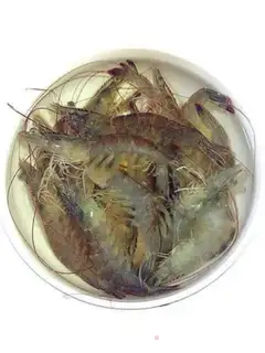 Make Tomato shrimp salad step 1