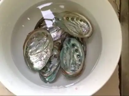 Make Garlic fan abalone step 2