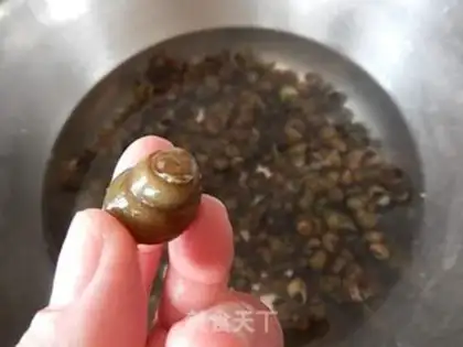 Make The snail step 2