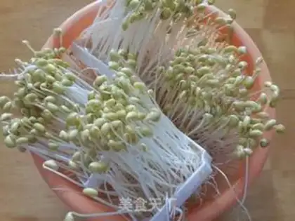Make Bean sprouts step 6