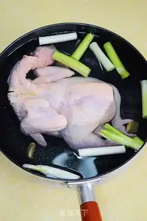 Make White pheasant step 1