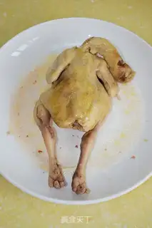 Make White pheasant step 3