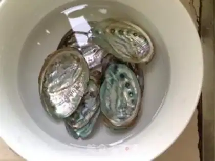 Make Garlic fan abalone step 2