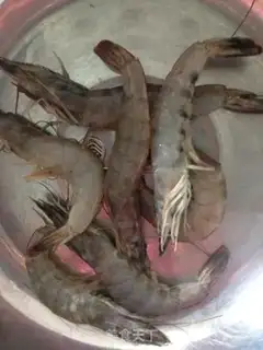 Make Five-colour shrimp cakes step 0