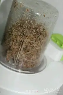 Make Homemade meat pine step 3