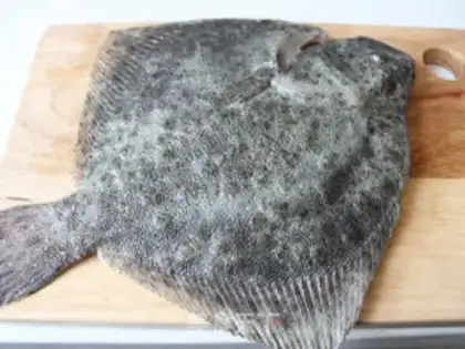 Make Squirty fish step 0