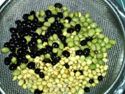 Make Three bean step 1