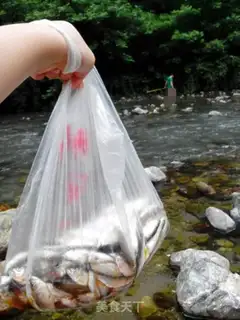 Make A sour and wild fish step 1