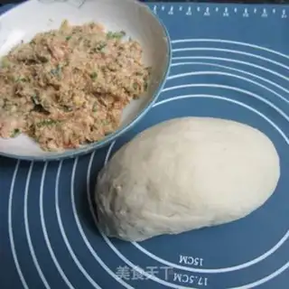 Make Pork dumplings step 6