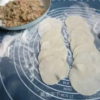 Make Pork dumplings step 9