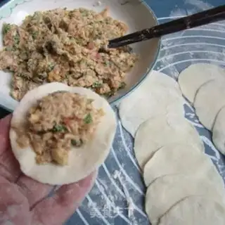 Make Pork dumplings step 10