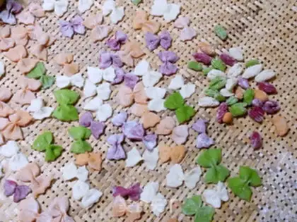 Make Colored vegetable butterflies step 12