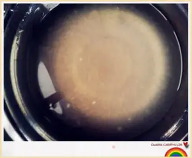 Make Mango potato Simi Café step 6