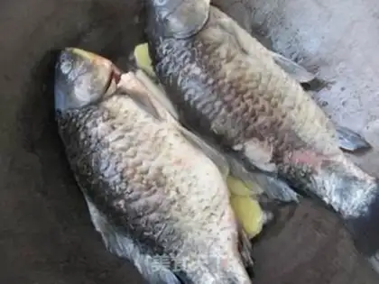 Make Creamfish step 2