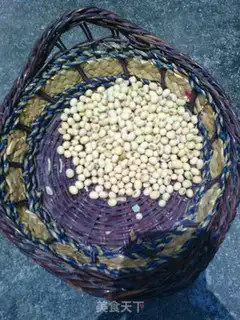 Make The original soybean step 0