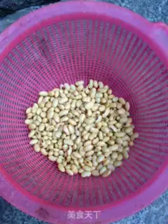 Make The original soybean step 1