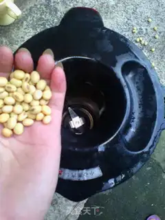 Make The original soybean step 2