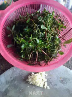 Make Garlic toothpaste step 1