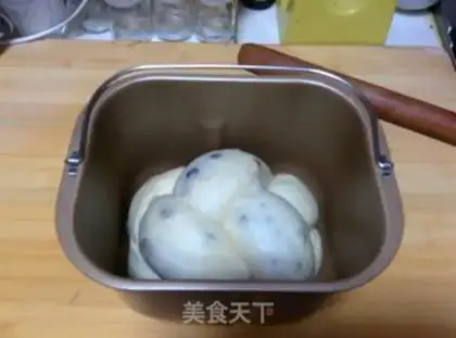 Make Honey Bean Coco-Scratch step 19