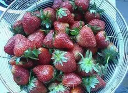 Make Strawberry step 0