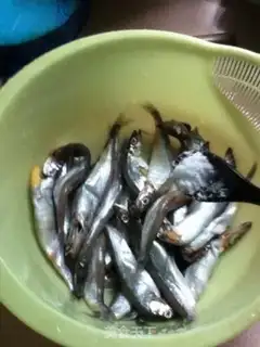 Make ♪ So many spring fish ♪ step 0
