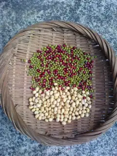 Make Three beans step 0
