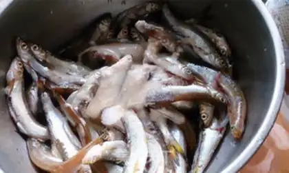 Make Fried fish step 1
