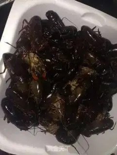 Make Spicy lobster step 1