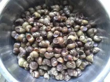 Make Spicy snails step 0