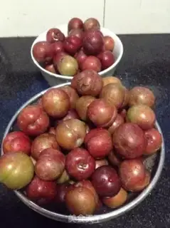 Make Plum jam step 0