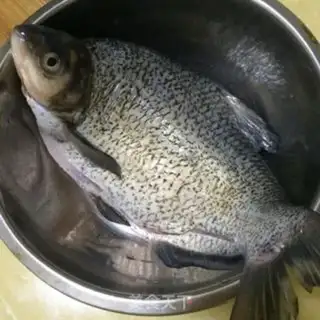 Make Spicy peppers burning the fish step 0