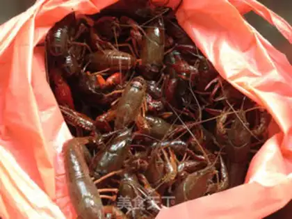 Make Spicy lobster step 0