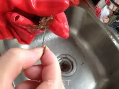 Make Spicy lobster step 3