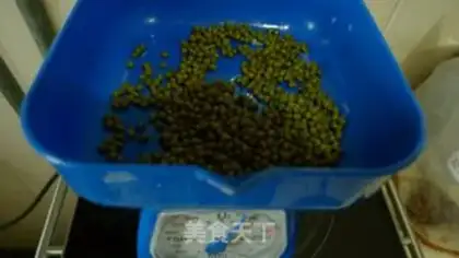 Make Classic green bean sand step 0