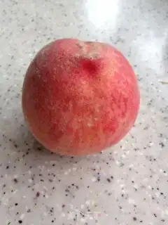 Make Peaches Simillo step 1