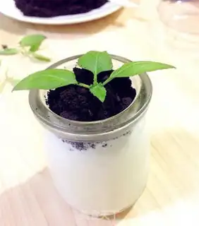 Make A healthy pot of yogurt step 13
