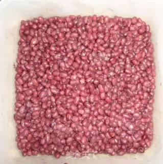 Make Honey Bean step 3