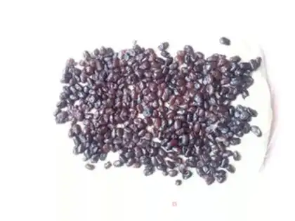 Make Danish red bean toast step 6