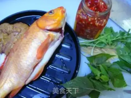 Make Carp step 0